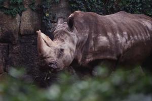 金沢駅から徒歩6分！快適でリーズナブルな「東横INN金沢駅東口」宿泊ガイド