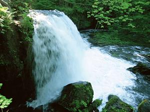 静岡県沼津市のビジネスホテル【東横INN富士山沼津駅北口1】の詳細と魅力
