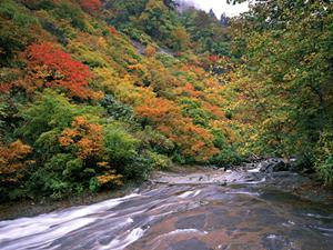 西川口駅から徒歩5分! 東横INN西川口駅の魅力と快適な宿泊体験
