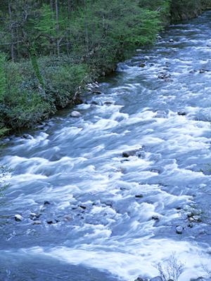 京都で便利なアクセスと快適なサービスが魅力の東横INN京都五条烏丸：宿泊体験と施設の特徴を詳しく解説