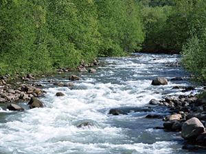 【公式資料に基づく】東横INN東大阪の魅力と特徴を徹底解説
