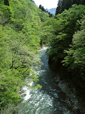 【公式】東横INN上野田原町駅：快適な滞在と便利なアクセスを提供するビジネスホテル