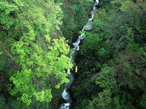 横浜スタジアム前に位置する「東横INN横浜スタジアム前1」｜快適な滞在とアクセスの良さが魅力のビジネスホテル