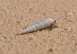 自然を満喫することができる白馬の宿