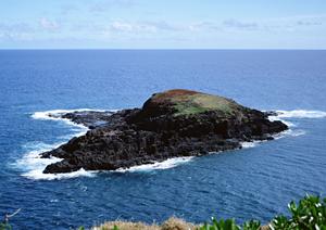 函館駅から徒歩5分の快適ビジネスホテル｜東横INN函館駅前大門の魅力と詳細情報