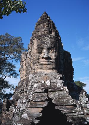 山梨県甲府市にある東横INN甲府駅南口1の魅力と利用ガイド
