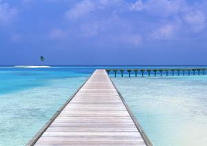 大阪市中央区に位置する【東横INN淀屋橋駅南】の魅力と利用ガイド