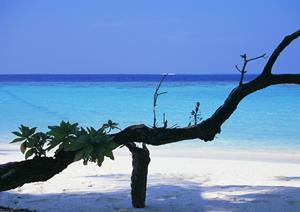福岡県北九州市空港近くのビジネスホテル：東横INN北九州空港の詳細と特徴
