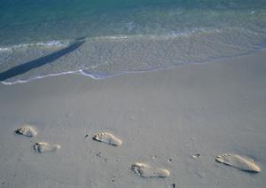 中部国際空港から徒歩9分！快適な滞在を約束する東横INN中部国際空港2の魅力と詳細情報