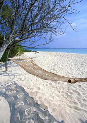 群馬県太田市のビジネスホテル：東横INN群馬太田駅南口の魅力と詳細情報