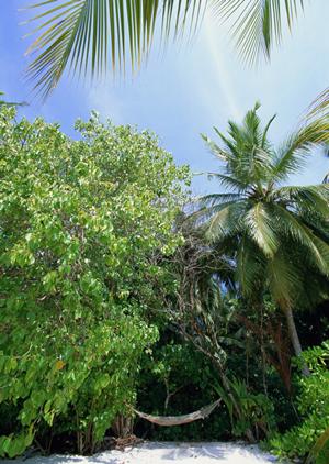 香川県丸亀駅前の快適ビジネスホテル｜東横INN丸亀駅前の魅力と利点