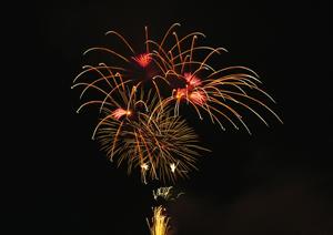 横浜にある洒落たハリネズミカフェ